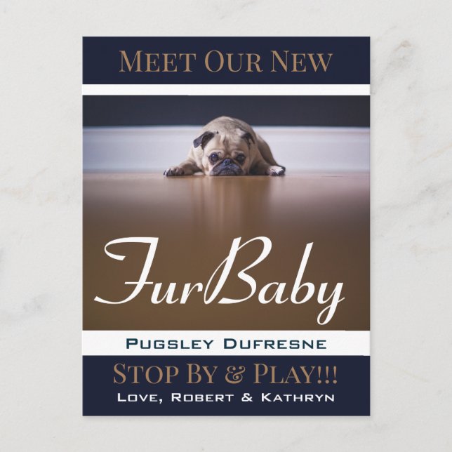 Carte Postale Four Baby "New Pet" Faire-part (Devant)