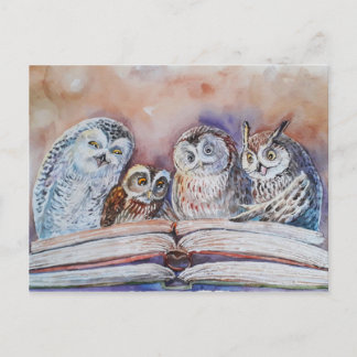 Carte Postale Four reading owls
