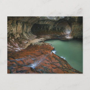 Carte Postale Fourche gauche   Parc national de Zion, Utah