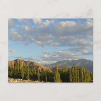 Carte Postale Fourche, Ladakh, Inde