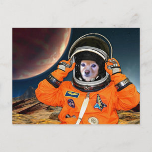 Carte Postale Fox Est Un Astronaute #2