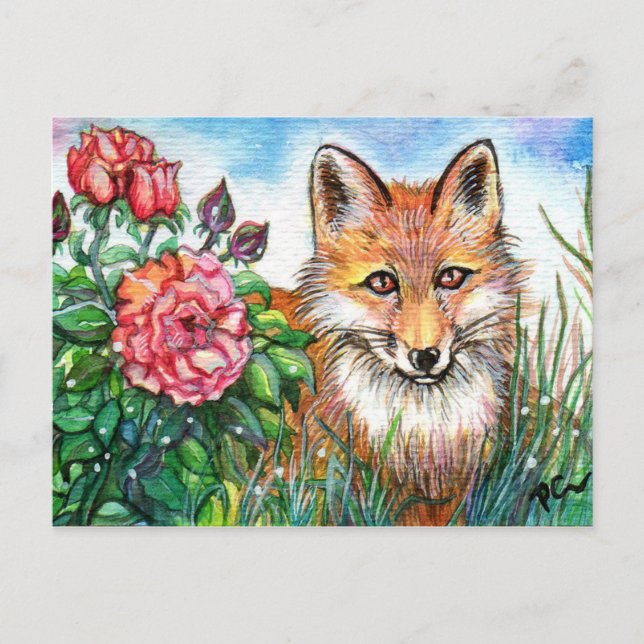 Carte Postale Fox Par Le Rose Bush (Devant)