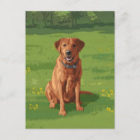 Fox Red Yellow Labrador Retriever Chien