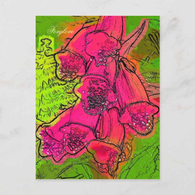 CARTE POSTALE FOXGLOVES (Devant)