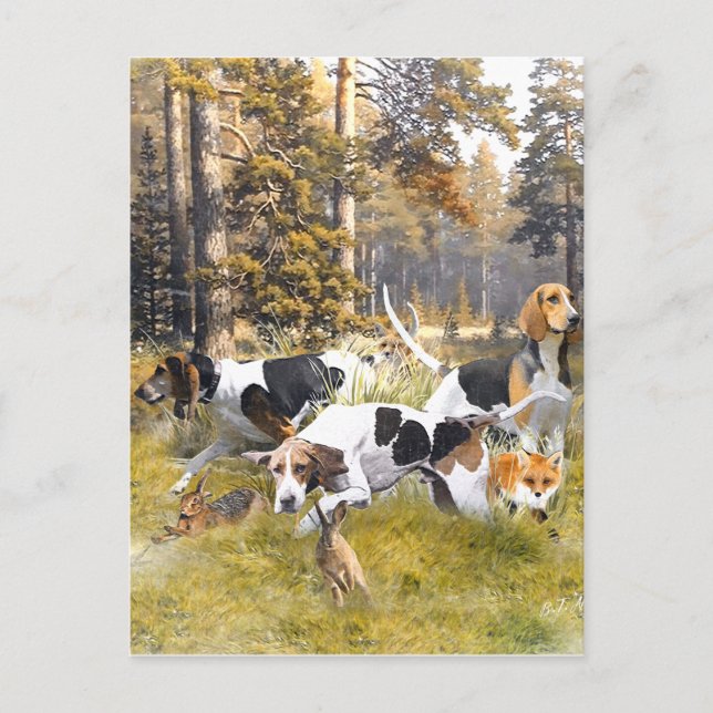 Carte Postale Foxhound (Devant)