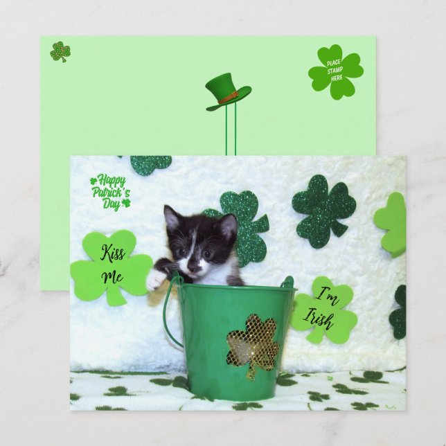 Carte Postale Foxie Cat St. Patrick's Day Card (Devant / Derrière)