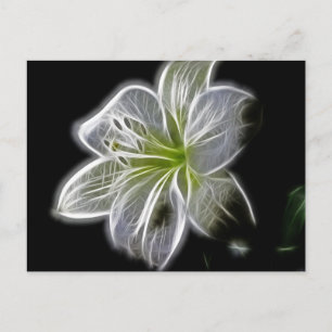 Carte Postale Fractage Orchidée Blanche Sur Noir