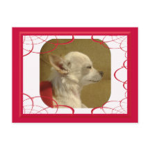 Carte postale Fractal Chihuahua