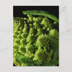 Carte Postale Fractales Romanesco Broccoli