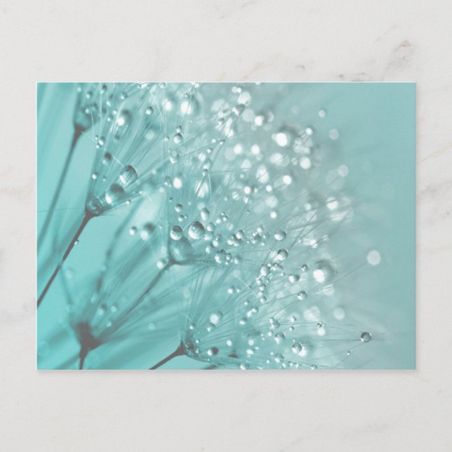 Carte Postale Fraîcheur du matin (Devant)