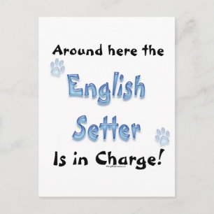 Carte Postale Frais de réglage anglais