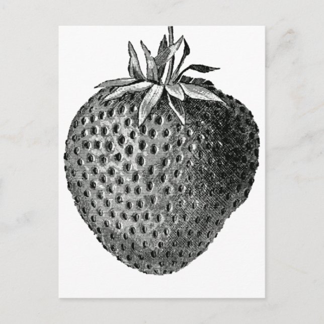 Carte Postale fraise (Devant)