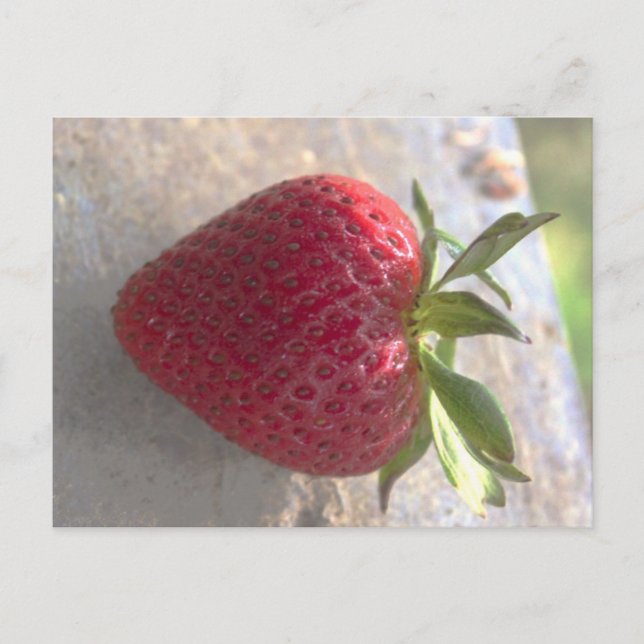 Carte Postale Fraise (Devant)