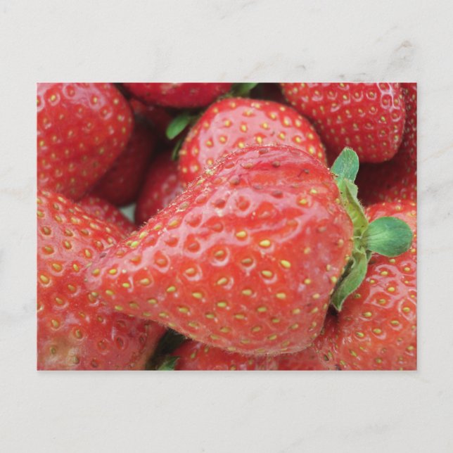 Carte Postale Fraise (Devant)