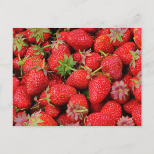 Carte Postale Fraises