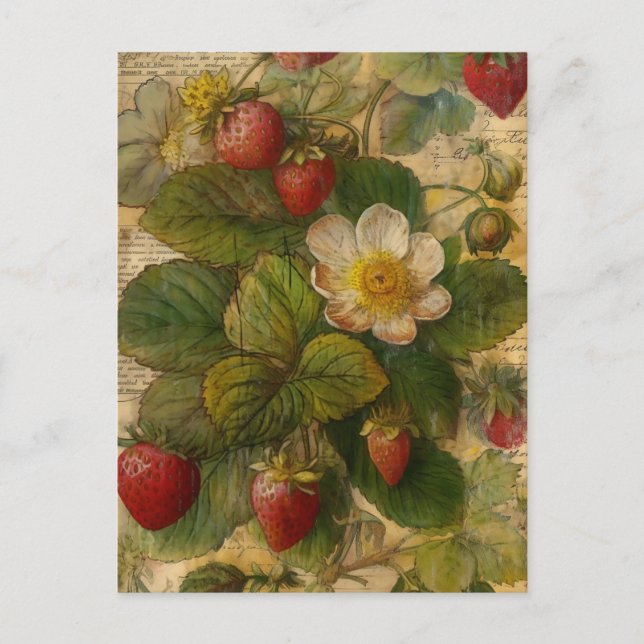 Carte Postale Fraises (Devant)