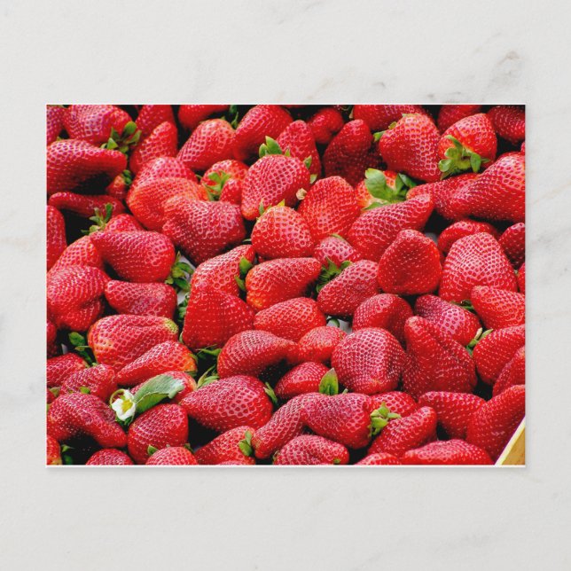 Carte Postale Fraises (Devant)