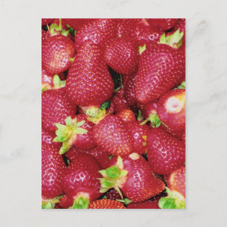 Carte Postale Fraises