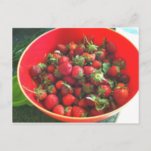 Carte Postale Fraises