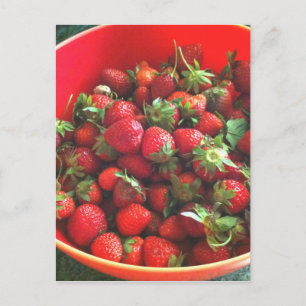 Carte Postale Fraises