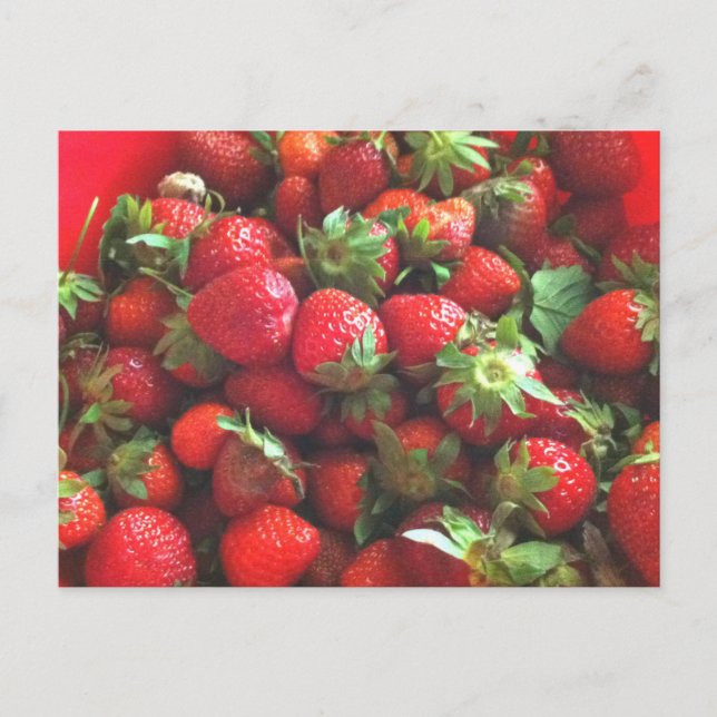Carte Postale Fraises | baies rouges fraîches (Devant)
