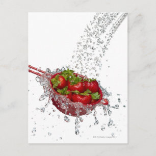 Carte Postale Fraises dans une passoire rouge