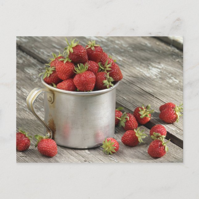 Carte Postale fraises de jardin dans la tasse (Devant)