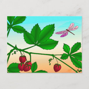 Carte Postale Fraises et libellules