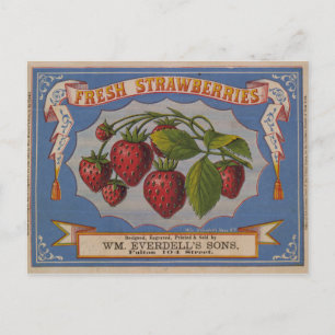 Carte Postale Fraises fraîches