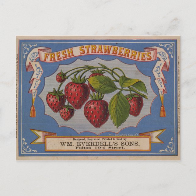 Carte Postale Fraises fraîches (Devant)