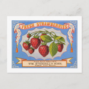 Carte Postale Fraises fraîches