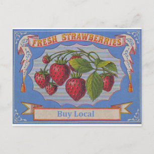 Carte Postale fraises vintages