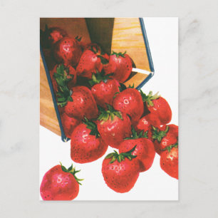 Carte Postale Fraises vintages en Panier, Fruits alimentaires