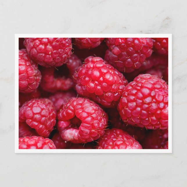 Carte postale - Framboises (Devant)