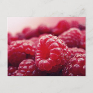 Carte Postale Framboises 6