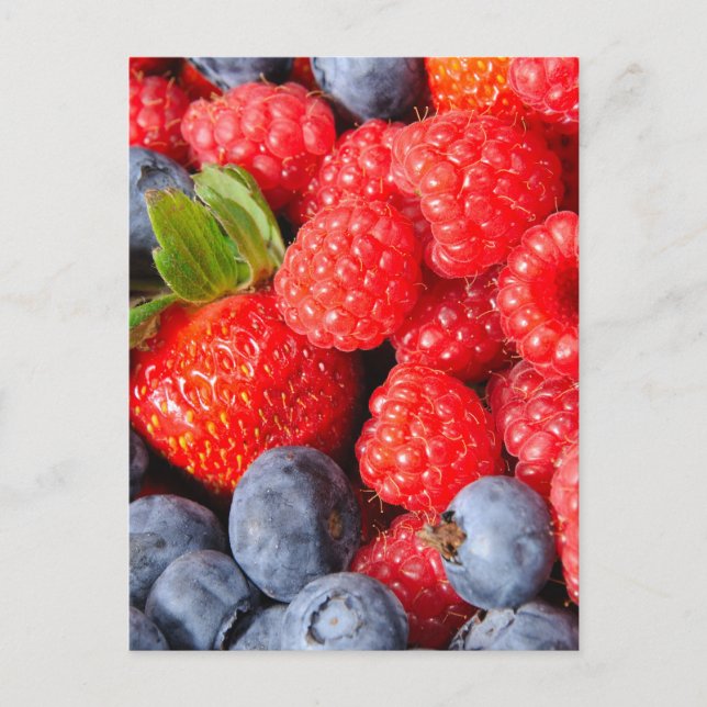 Carte Postale Framboises bleuets et framboises (Devant)