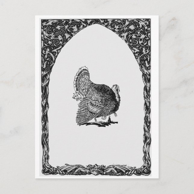 Carte Postale Framed Turkey (Devant)