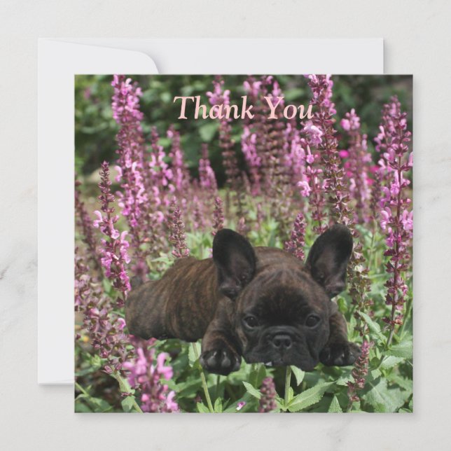 Carte postale française Thank You (Devant)