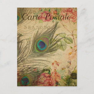 Carte Postale française vintage avec plume de paon