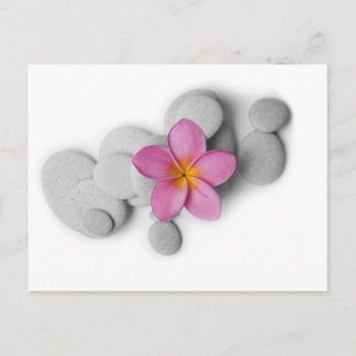 Carte Postale Frangipani Calme