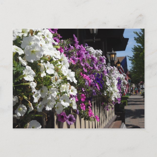 Carte Postale Frankenmuth, Michigan (Devant)