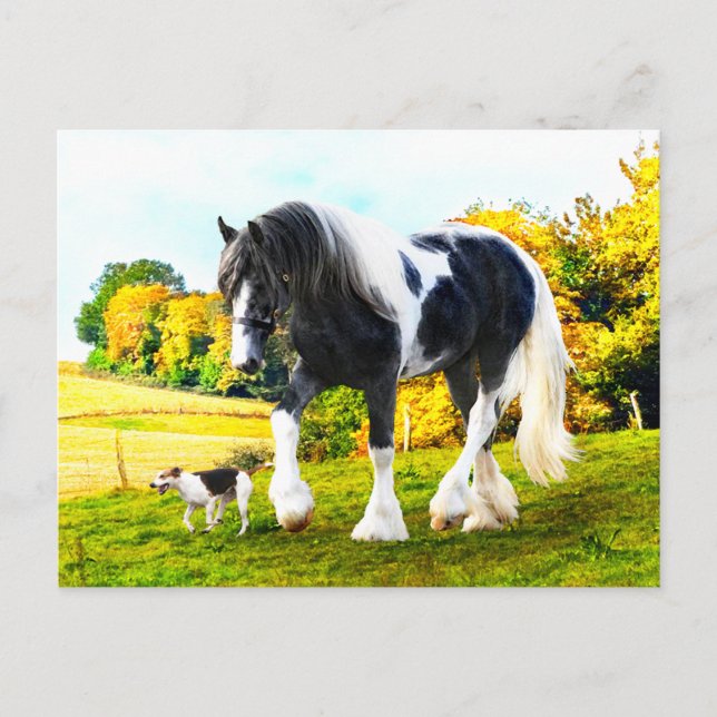 Carte postale "Frankie & Tessa" (Devant)