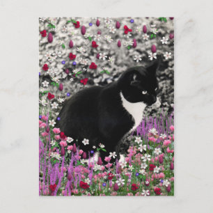 Carte Postale Frappes en Fleurs II - Tuxedo Kitty Cat