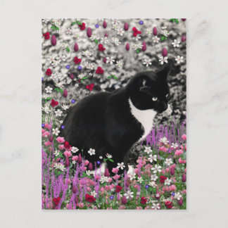 Carte Postale Frapules en Fleurs II - Tuxedo Cat