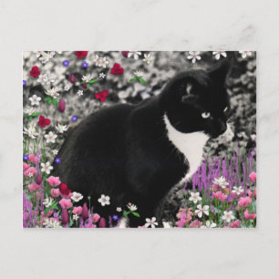 Carte Postale Frapules en Fleurs II - Tuxedo Cat