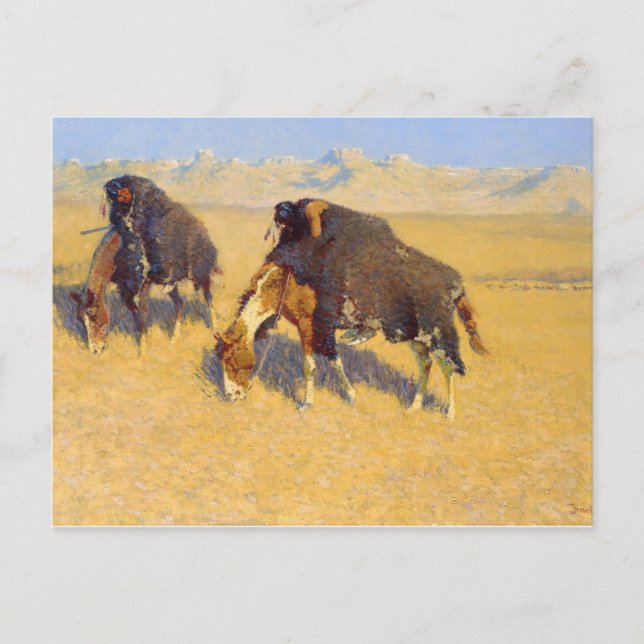 Carte Postale Frederic Remington - Indiens simulant le bison (Devant)