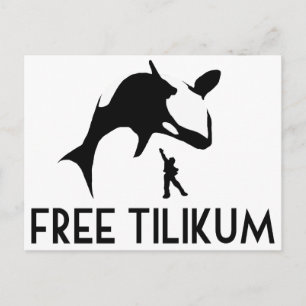 Carte Postale Free Tilikum Save Orca Killer Whale
