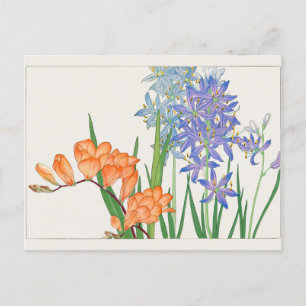 Carte Postale Freesia, lis africain par Tanigami Konan