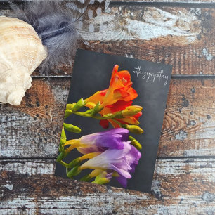 Carte Postale Freesia sur un fond sombre. Avec Sympathie