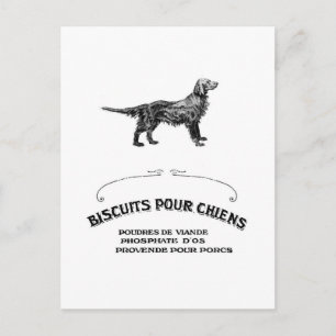 Carte Postale French Dog, Antique Dog Biscuit Et devenu mode
